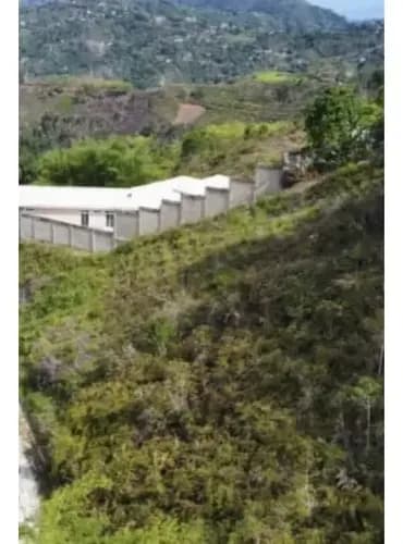 Oripoto Vendo Terreno 2000m2 (mogo)