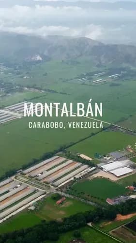Kyr Venden Complejo Deportivo (solo Clientes) En Montalbán Estado Carabobo.