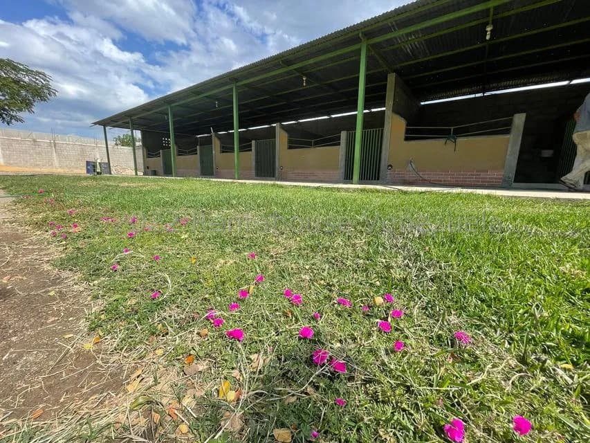 Terreno (Comercial) en Venta en Municipio Jimenez, Lara