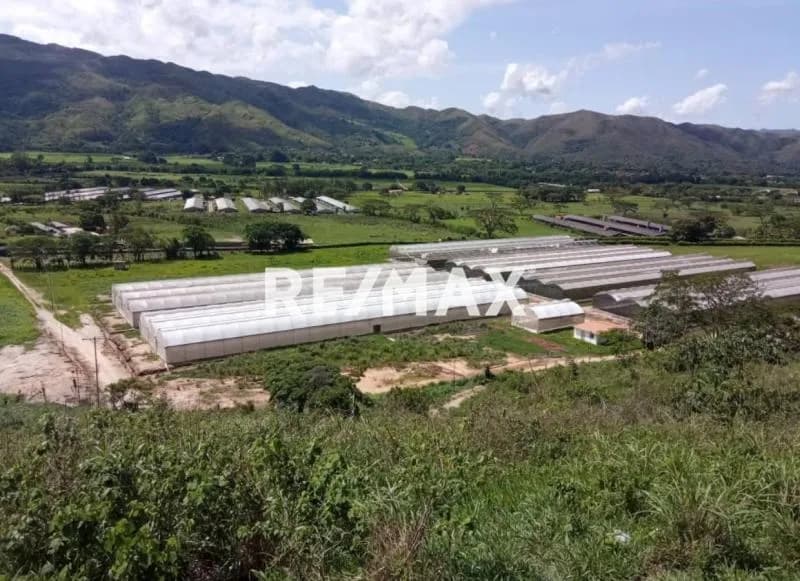 Venta Parcela Aguirre Con Invernaderos 23 ha