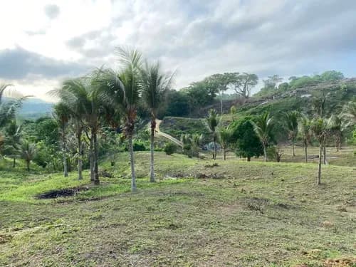 En Venta Terreno En Sanare (el Retiro)