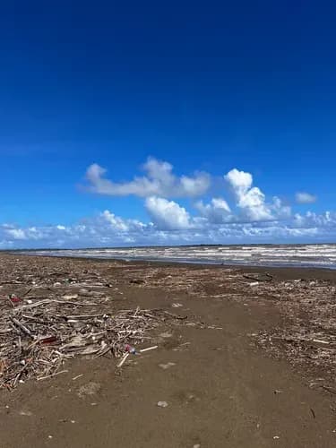 Yannet Inmuebles Vende Gran Extensión De Terreno De Uso Turístico Y Comercial En Falcón A Orilla Del Mar Con Acceso Directo Carretera Princiapal De Falcón Boca De Mangle