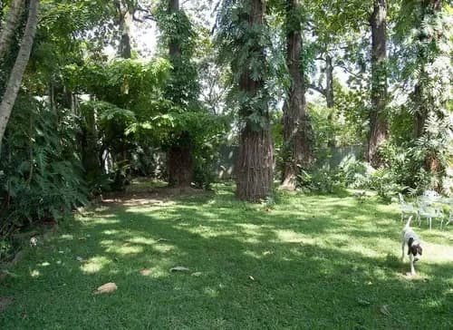 El Country Vendo Terreno Para Vivienda