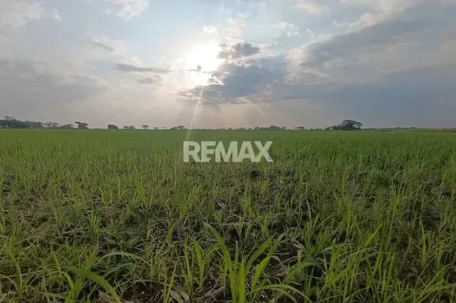 Quieres una Finca Propia a 20 Minutos de la Ciudad, Te La tengo.