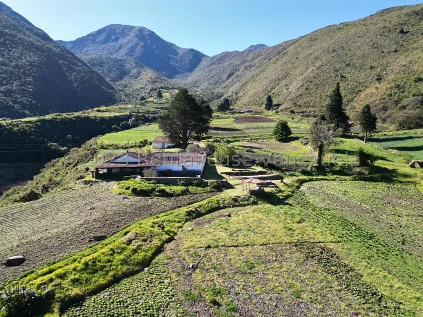 Terreno (Finca) en Venta en Las Porqueras, Merida