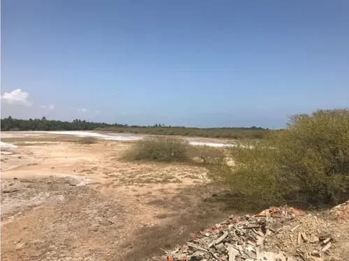 Lote De Terreno En Lecherias Av La Costanera 7 Hectáreas