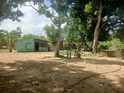 Finca En Venta. Sector Los Pozos De Guanipa
