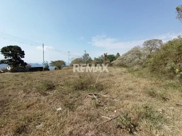 Parcela en Venta Palmira