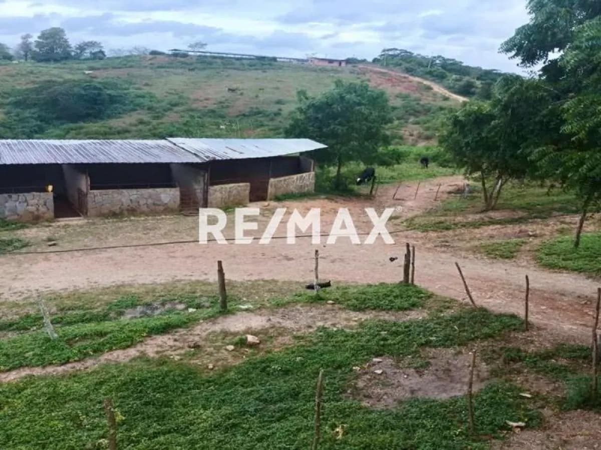 SE VENDE HERMOSA FINCA PROPIA TOTALMENTE OPERATIVA CERCANA A YARACAL Y AL PARQUE NACIONAL MORROCOY- FALCÓN.