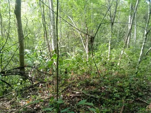 Terreno En Venta Res O Agrícola Sabaneta En El Hatillo Caracas