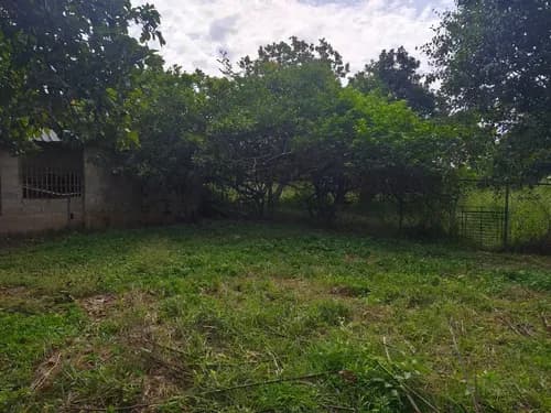 Mariana Vende Terreno Con Galpon Y Casa En Tocuyito Fabiana