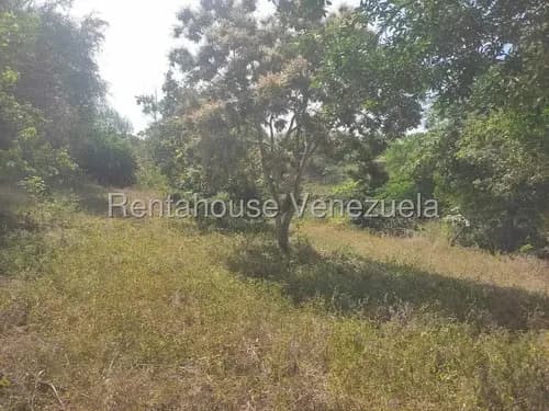 # Venta Extenso Terreno De Casi Dos Hectáreas Con Casa De Estilo Colonial Ubicada En El Asentamiento La Mata, Cabudare Lara Gm ?