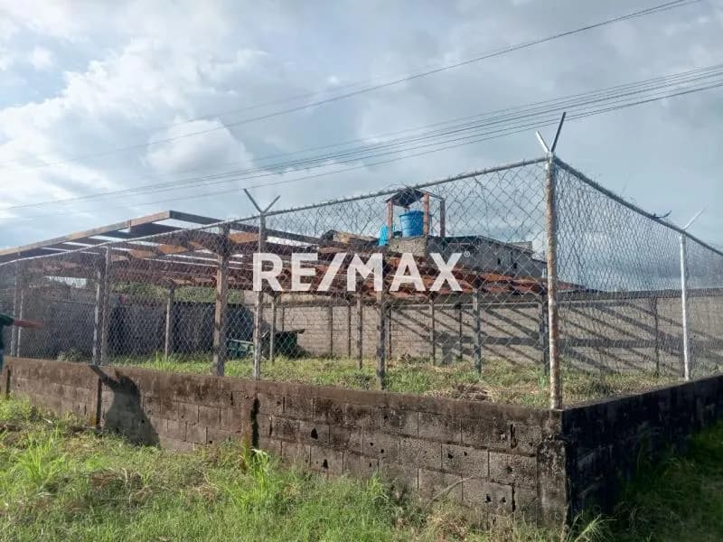 En Venta Terreno propio cercado, ubicado en Guanare, Sector 14 de Mayo con Avenida El Horcon, Esquina Calle 2, Guanare, Portuguesa, Venezuela