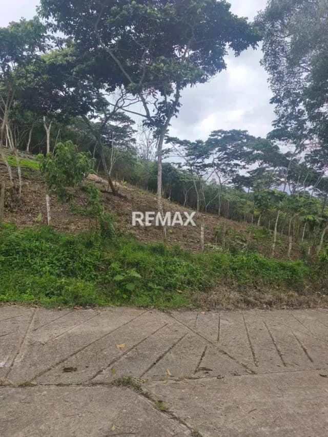 Venta de Terreno en Caneyes Sector Caneyes