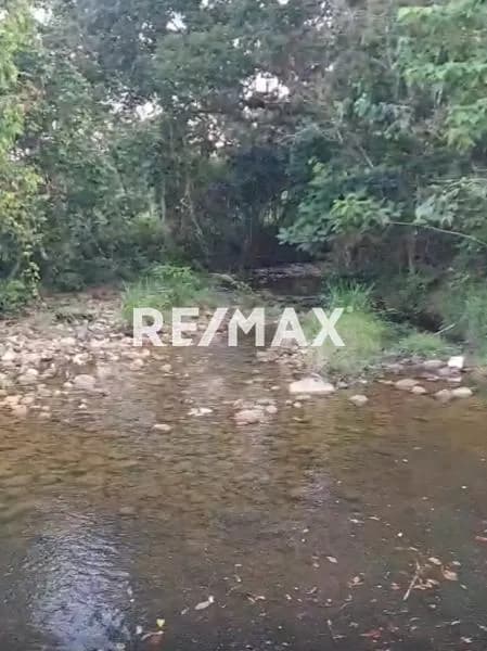 En venta finca de 9 has, sector san Antonio de pajen