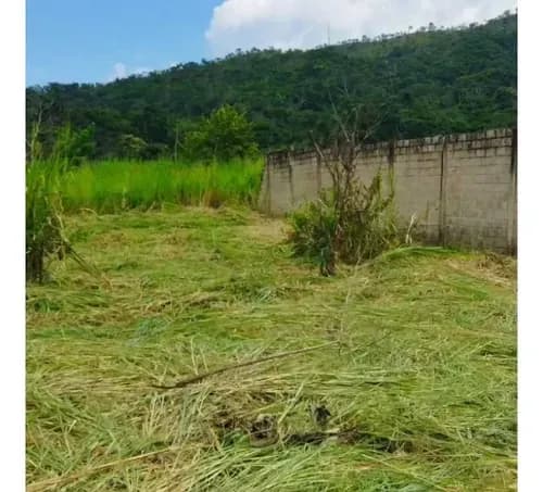 Terreno En Venta En San Diego Edo. Carabobo Ag-6994502