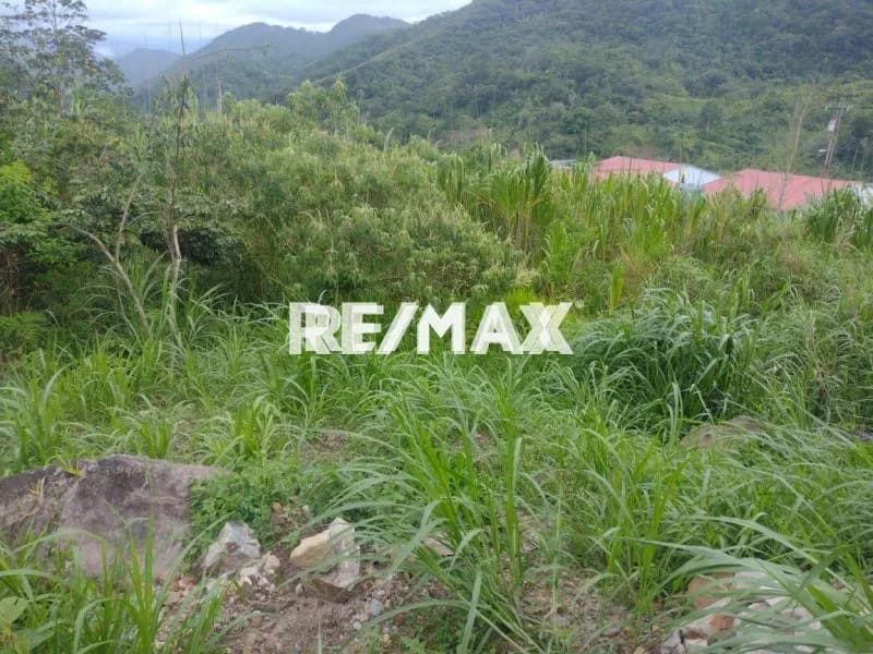 EN VENTA Lote de terreno con un área de 3650m2 Sábana larga