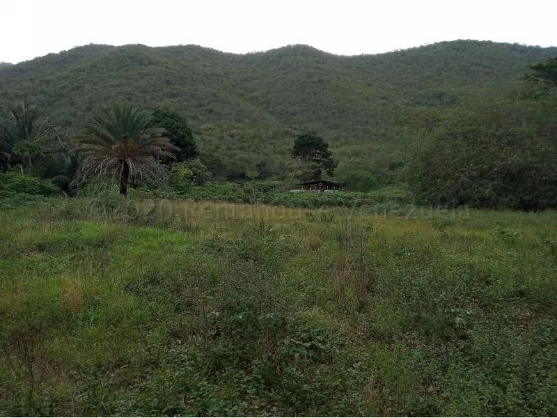 Terreno (Residencial) en Venta en La Asuncion, Nueva Esparta