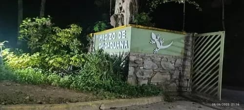 Alicia Velasco Realstate Vende Terreno Virgen De 2 Hectáreas En Caicaguana