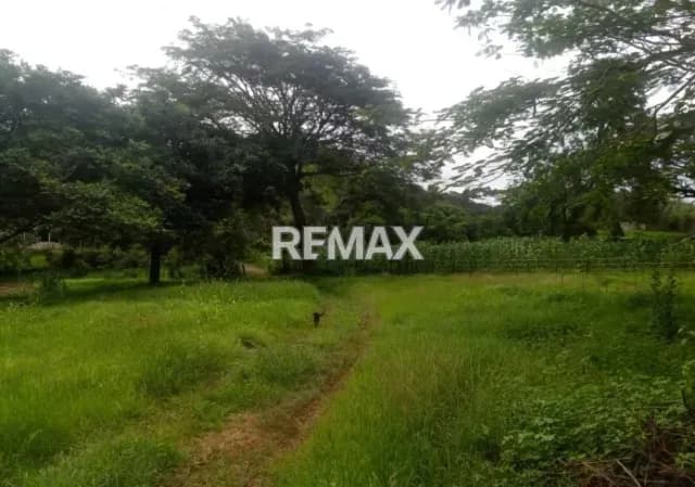 Venta de Finca en Tinaquillo 200 hectareas