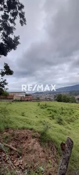Terreno en Arjona