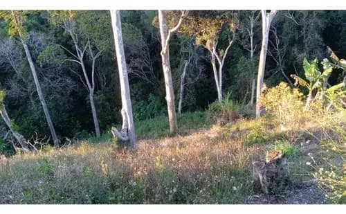 Oferta Terreno De 2600 Mtrs2 En Venta El Junquito La Niebla