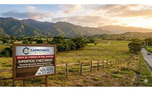 Se Vende Terreno De 9 Hectáreas En San Joaquín Valencia