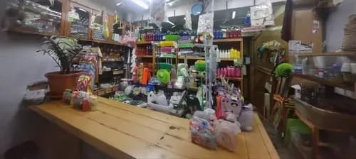 Venta Con Cesión De Uso En El Mercado De San Martín
