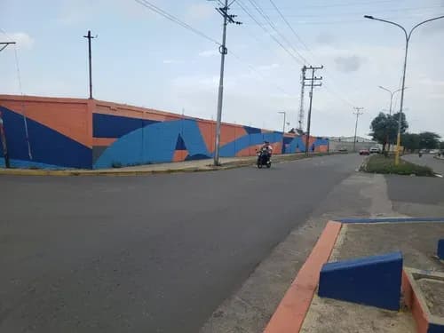 Venta De Terreno Ubicado En Puerto Cabello Zona Comercial, Av. Principal Santa Cruz (solo Clientes) Dm