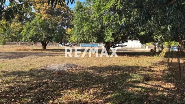 EN VENTA FINCA EN SABANA DEL MEDIO (BARRERA) DE 11.849,22 m2