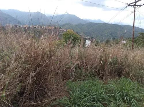 Terreno En Venta En Parque Caiza 50000 Metros 5 Hectareas A Pie De Calle Angela Tochon Terrenos En Caracas