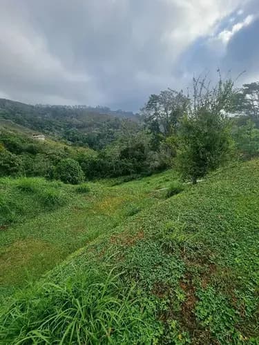 Terreno En Venta En Conjunto Cerrado En San Diego Estado Miranda Hi