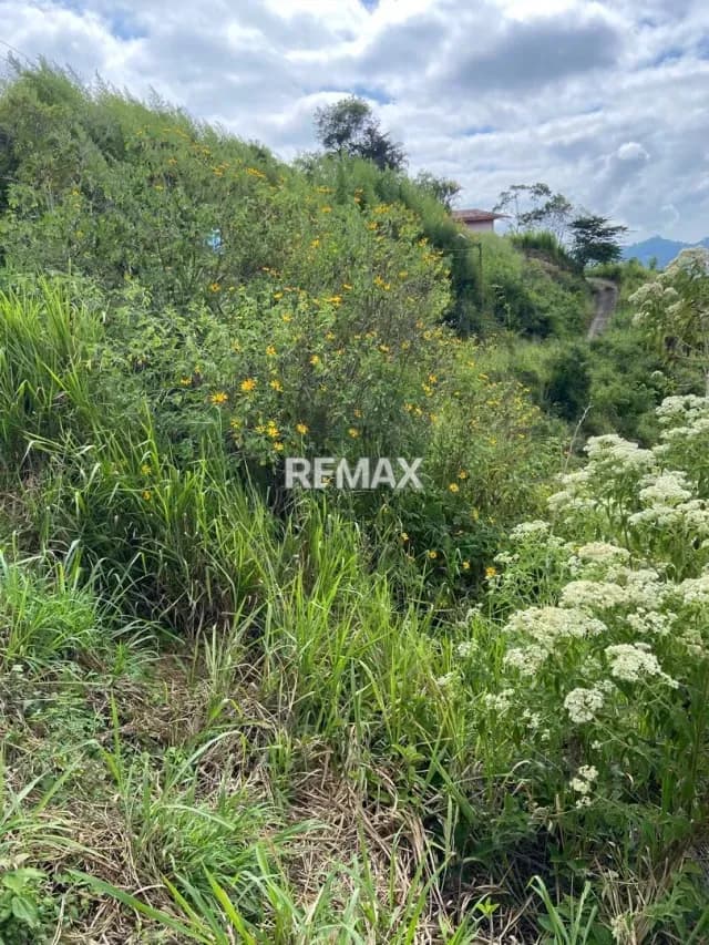 venta de terreno para desarrollar en sabaneta en el hatillo
