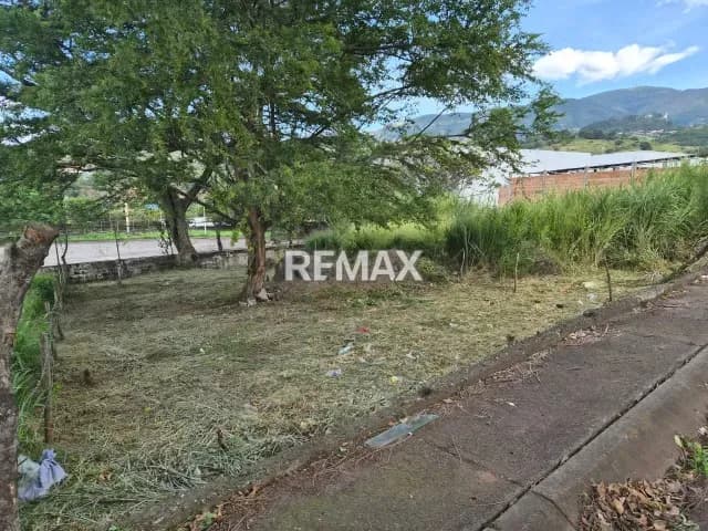 Terreno
