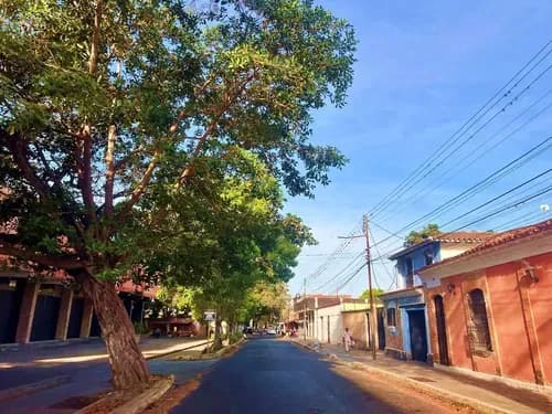 Annic Coronado Vende Inversión Estratégica En Bejuma En Plena Av. Bolívar. 319060