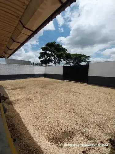 Galpon En Alquiler, (sandra Nino) Av. Michelena, Muelle De Carga Techado