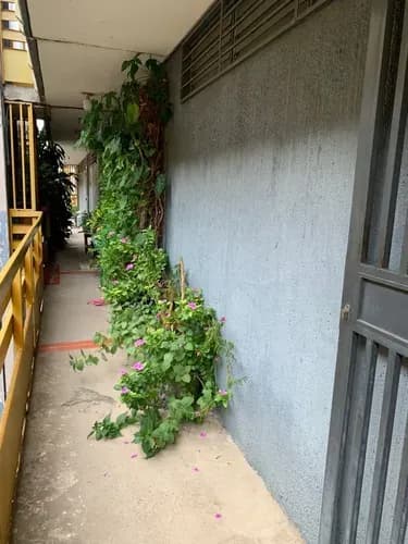 Apartamento En Venta En Ocumare Del Tuy. Jp