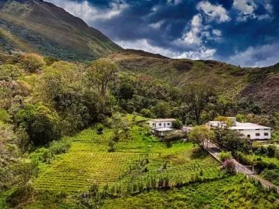Hacienda cafetalera en venta Caripe Estado Monagas Venezuela