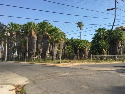 Terreno Lechería Venta 2502 M2