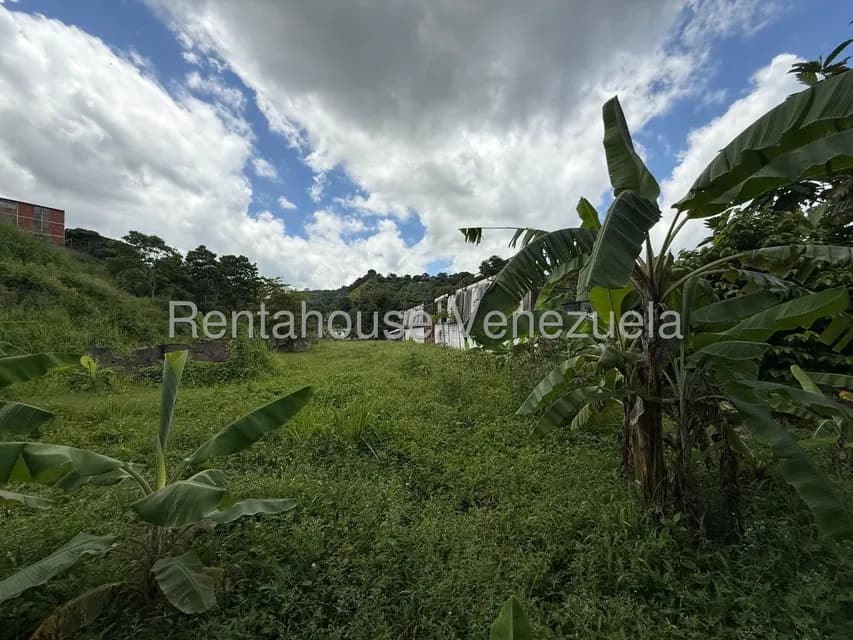 Terreno (Comercial) en Venta en La Rosa, Miranda