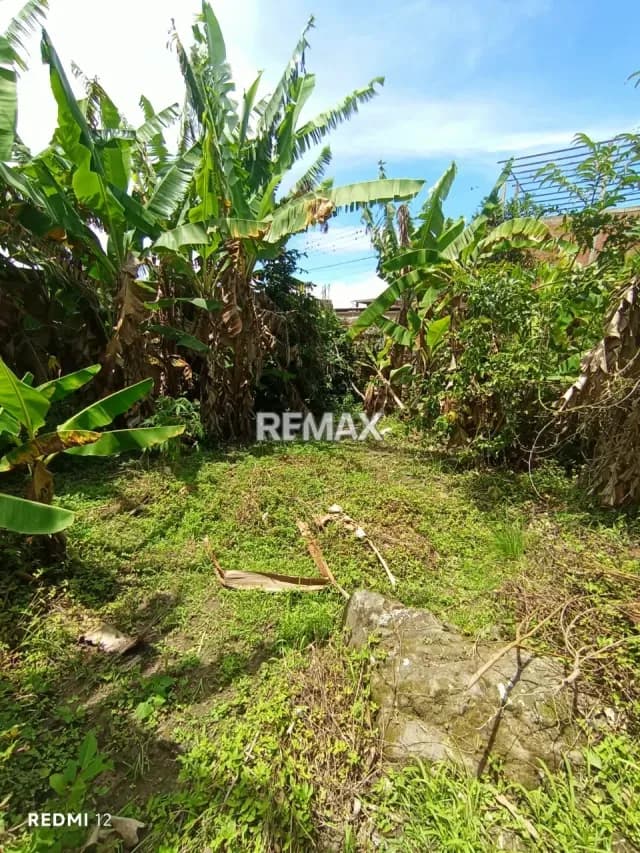 VENTA DE TERRENO En El Abejal de Palmira, Municipio Guasimos