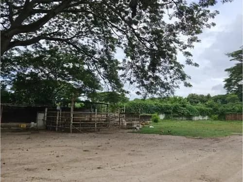 En Venta Terreno Ubicado En La Av. Aragua A Nivel De Avenida. Mcy.