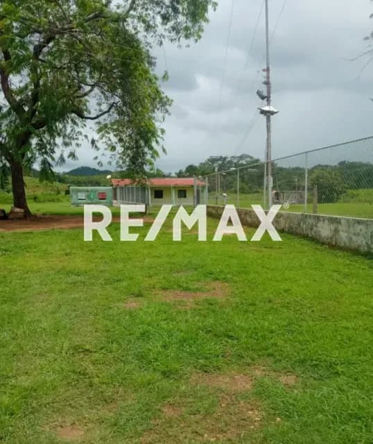 Venta finca en San Carlos sector el Pozuelo 101 ha