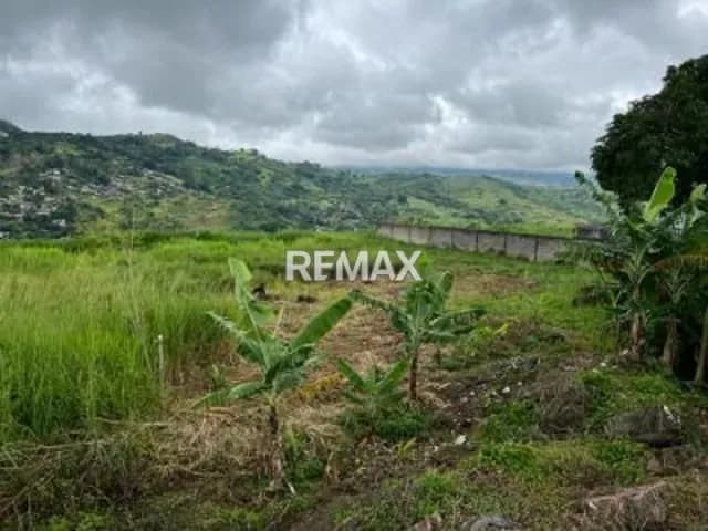 Terreno en venta en el sector Caneyes