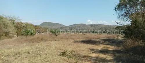 Lcda. Milagros Inmuebles Nazareth Terreno En Venta En Cabudare Lara Av Intercomunal Barquisimeto Acarigua La Campiña. Codigo Del Inmueble 25-3380 Economica Residencial Economico Comercial
