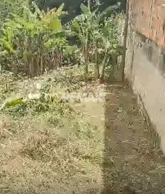 VENTA DE TERRENO EN RUBIO