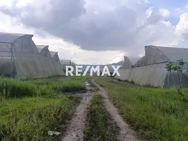 Finca Agrícola Operativa en Venta