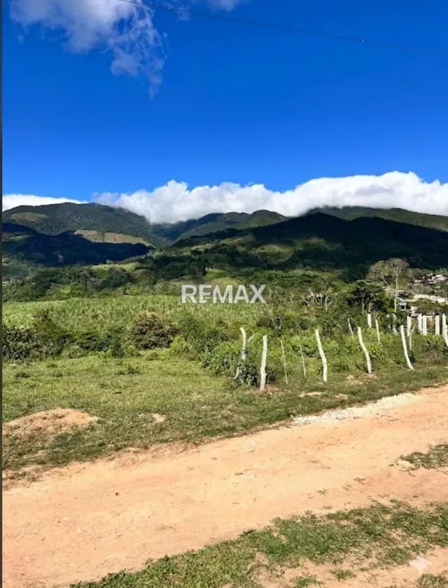 VENTA DE PARCELA PLANA CON TODOS LOS SERVICIOS
