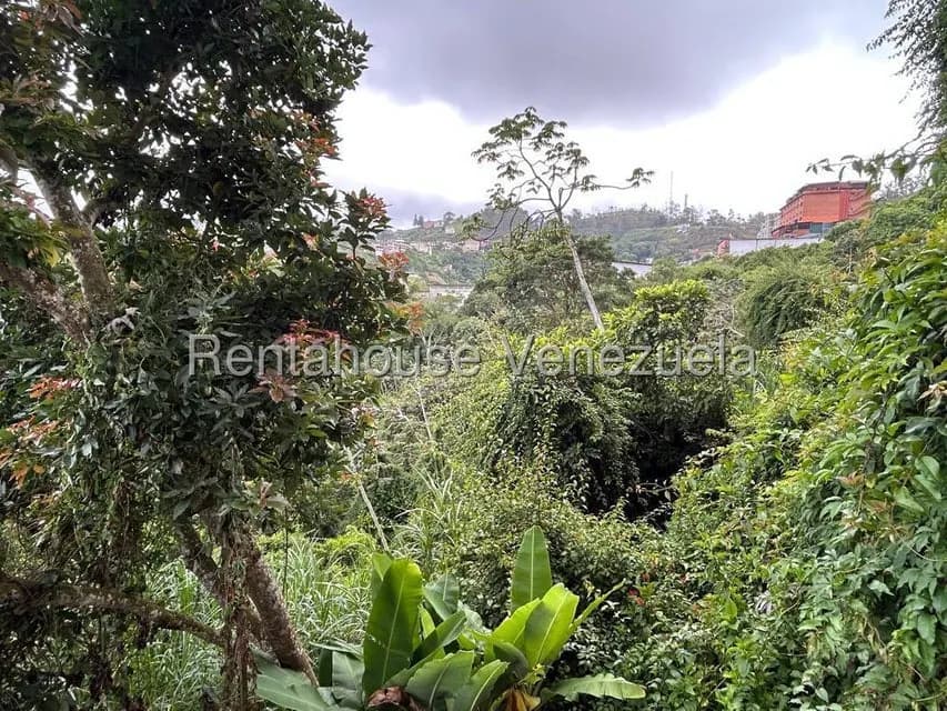 Comercial (Local Comercial) en Venta en El Carmen, Miranda