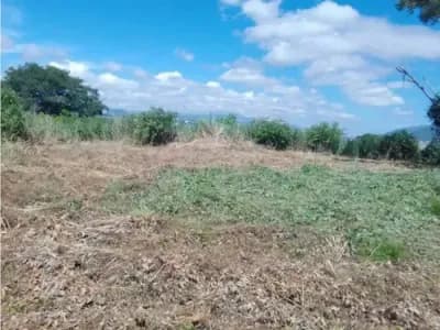 Terreno en venta en miranda - $2.5M